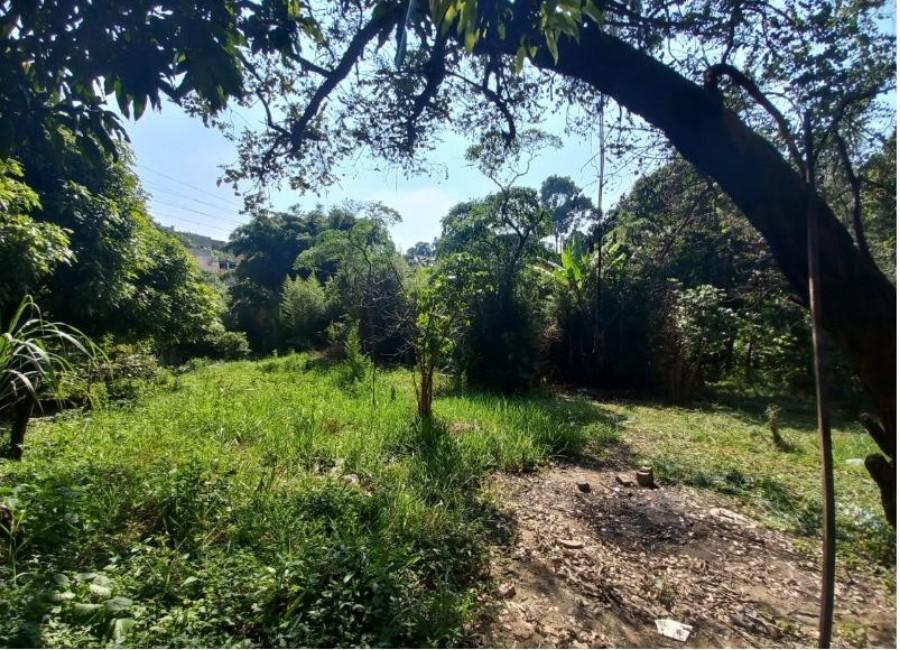 Terreno, 42 hectares - Foto 7