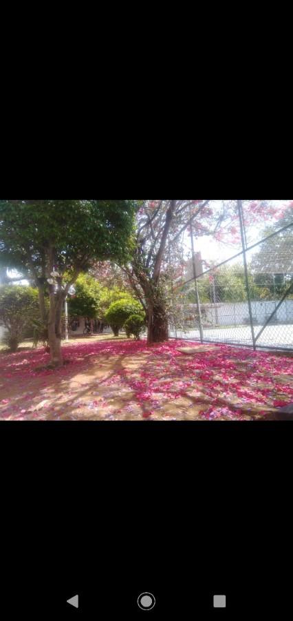 Apartamento, 2 quartos, 56000 m² - Foto 6