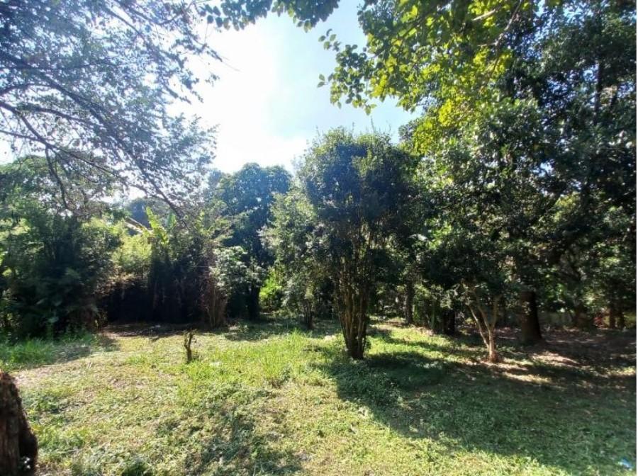 Terreno, 42 hectares - Foto 4