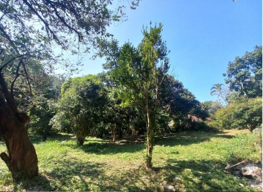 Terreno, 42 hectares - Foto 3