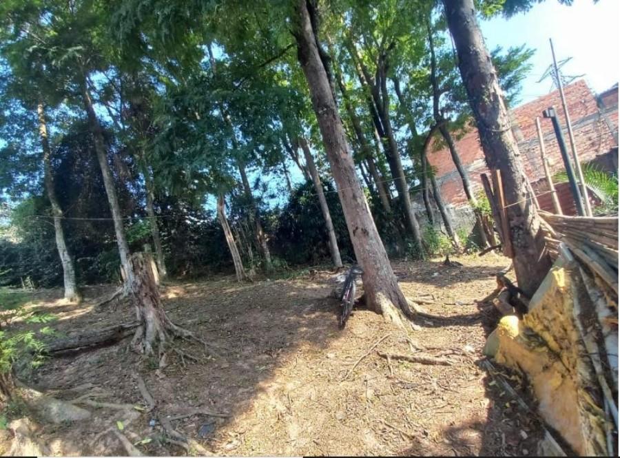 Terreno, 42 hectares - Foto 2