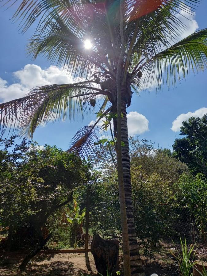 Sítio, 1 quarto, 600 m² - Foto 20