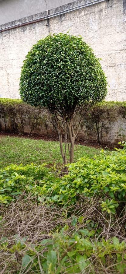 Apartamento, 2 quartos, 63 m² - Foto 4