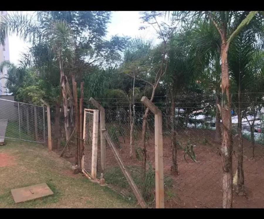 Apartamento, 2 quartos, 59 m² - Foto 13