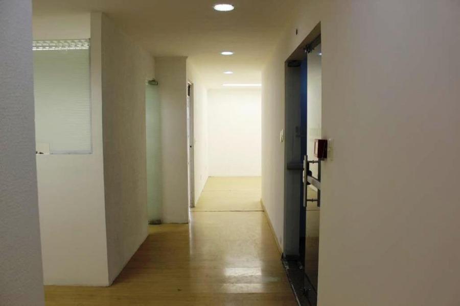 Sala-Conjunto, 517 m² - Foto 4