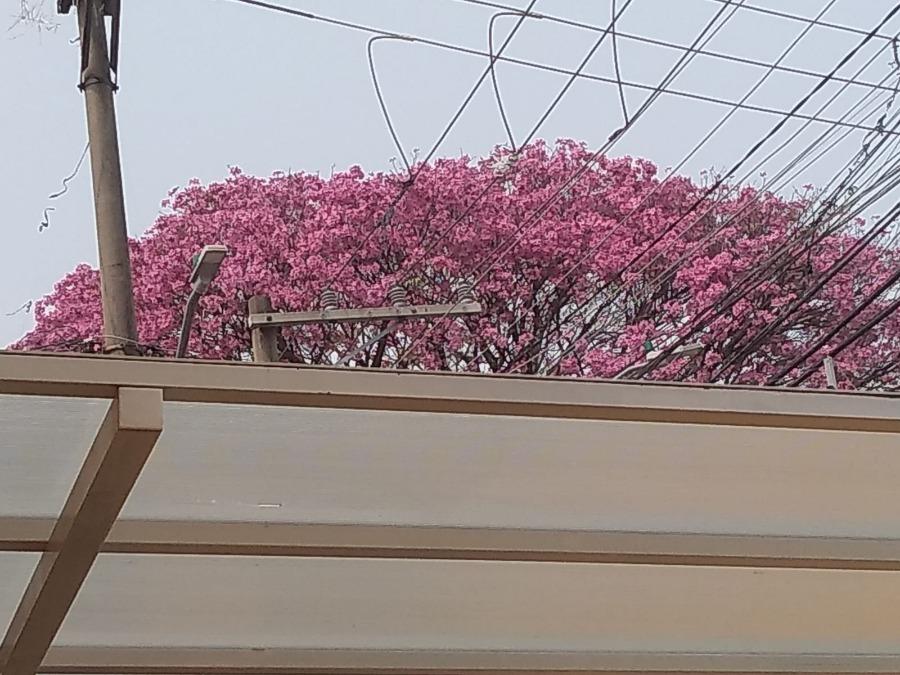 Sobrado, 2 quartos, 85 m² - Foto 16