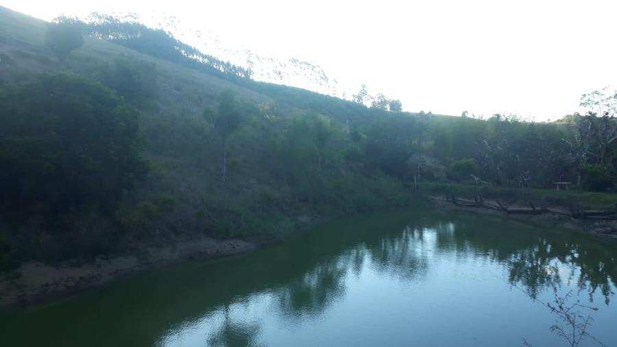 Sítio, 1 quarto, 2 hectares - Foto 3