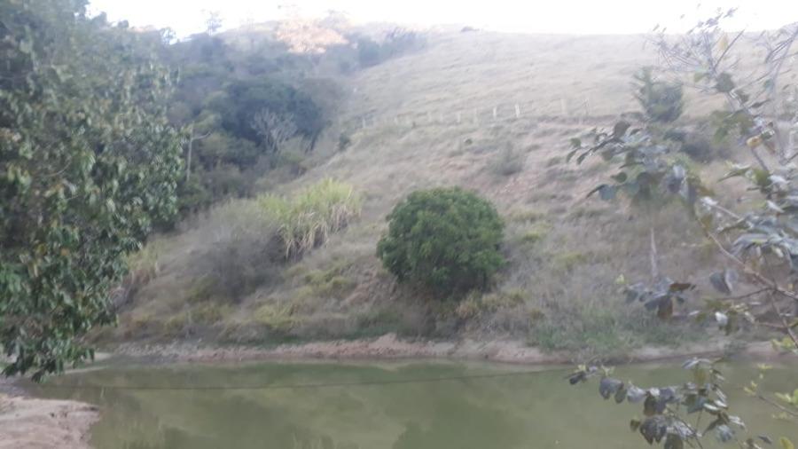 Sítio, 1 quarto, 2 hectares - Foto 5