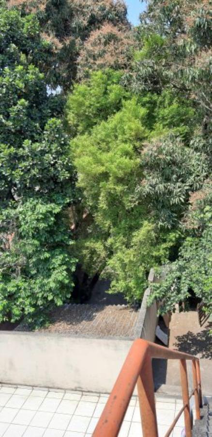 Casa, 1 quarto, 480 m² - Foto 10