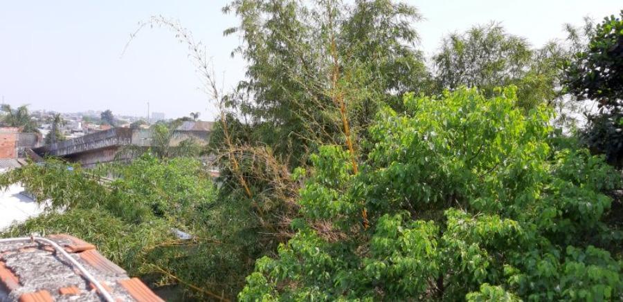 Casa, 1 quarto, 480 m² - Foto 7