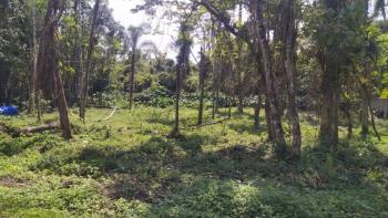 Terreno para Venda por R$120.000,00 com 1000m² - Bertioga, São paulo / SP - Foto 3