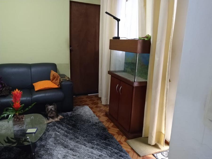 Casa à venda e aluguel com 3 quartos, 200m² - Foto 7