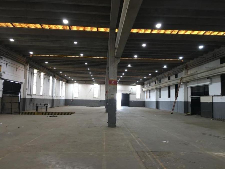 Prédio Inteiro, 238000 m² - Foto 1