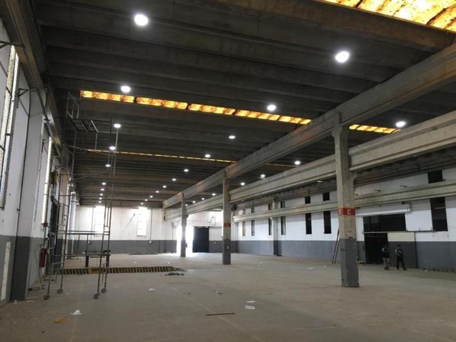 Prédio Inteiro, 238000 m² - Foto 3