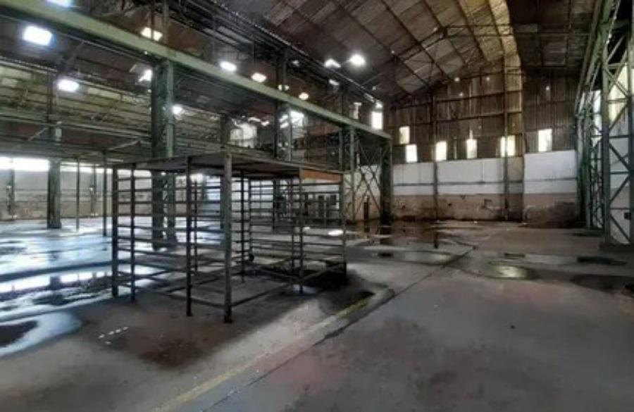 Prédio Inteiro, 5000 m² - Foto 5