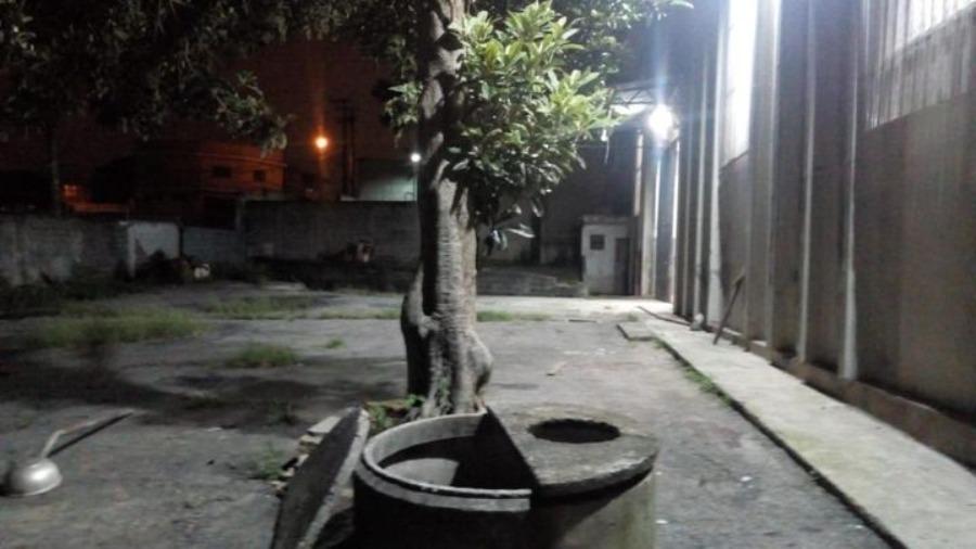 Prédio Inteiro, 238000 m² - Foto 6