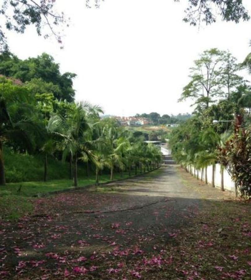 Prédio Inteiro, 2400 m² - Foto 15