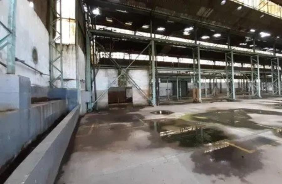 Prédio Inteiro, 5000 m² - Foto 2