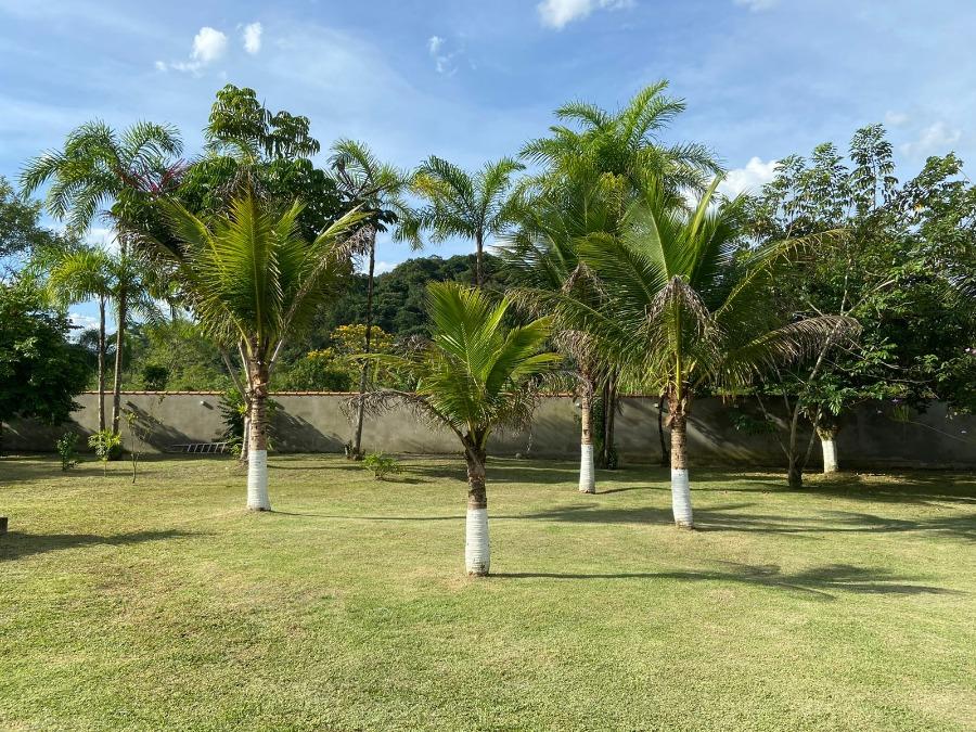 Terreno, 3172 m² - Foto 4