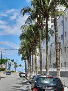Apartamento Kitnet para Venda por R$180.000,00 com 32m², 1 dormitório, 1 vaga e 1 banheiro - Vila mirim, Praia grande / SP