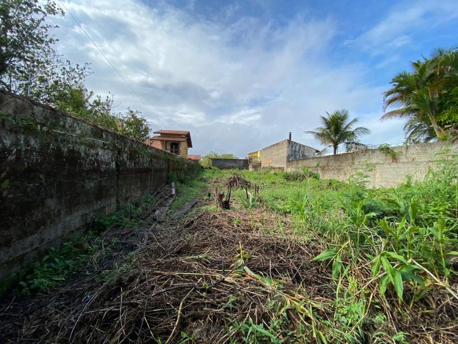 Terreno à venda com 1 quarto, 650m² - Foto 3