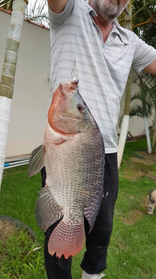 Terreno, 3172 m² - Foto 14